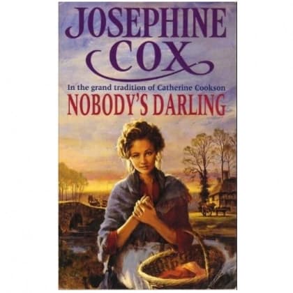 Nobody's Darling (used)