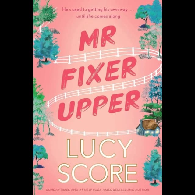 Mr Fixer Upper