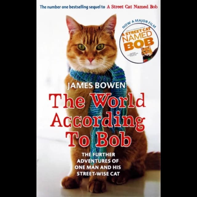 The World According to Bob