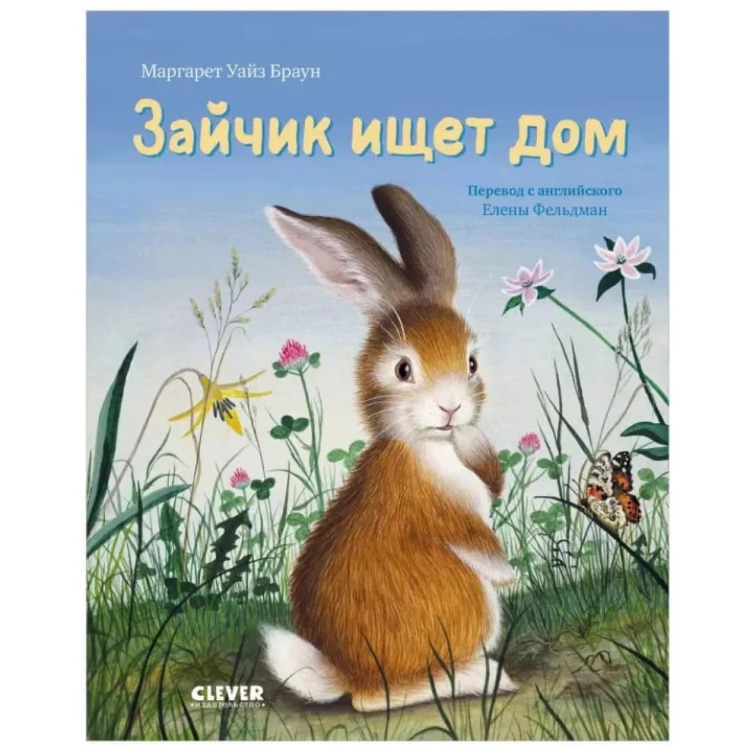 Зайка ищет дом