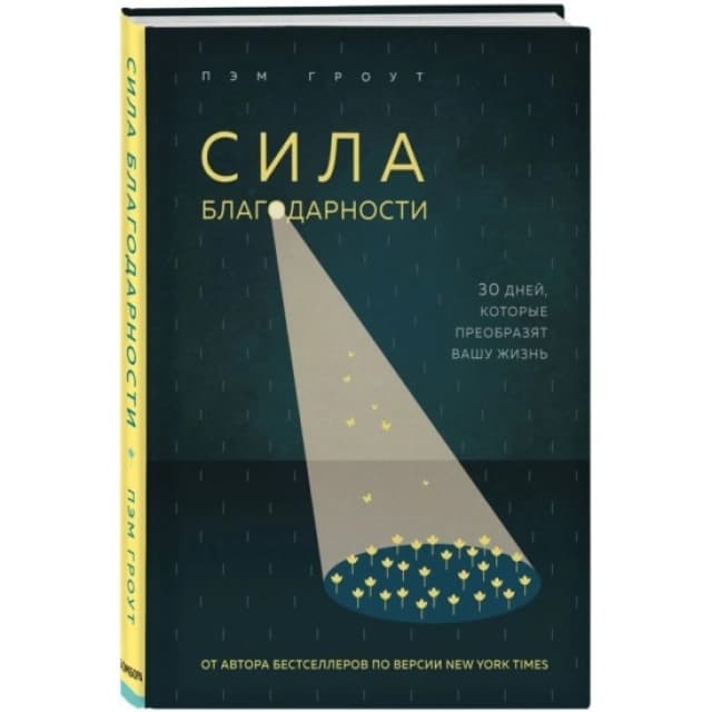 Сила благодарности. 30 дней, которые преобразят вашу жизнь