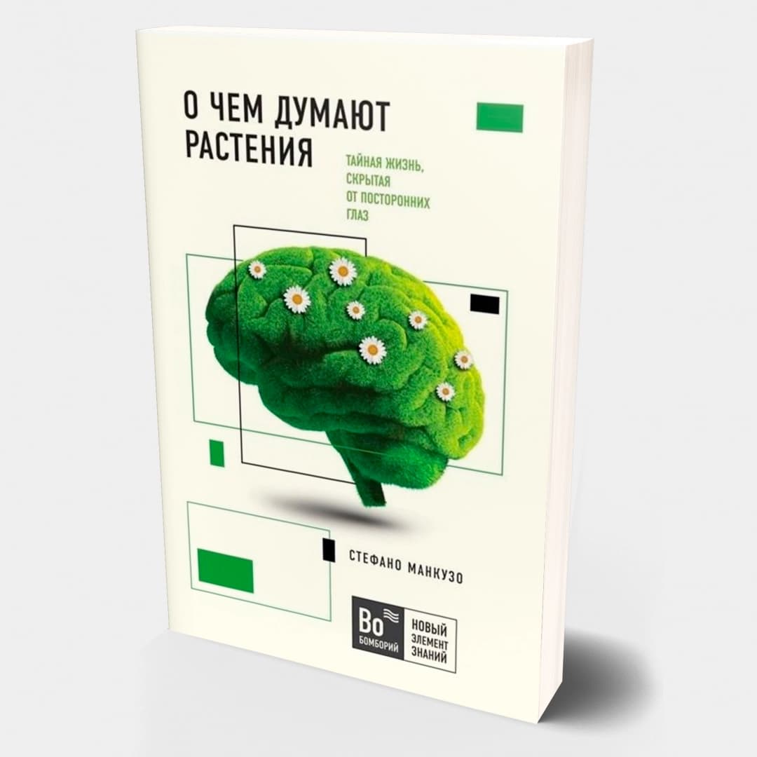 О чем думают растения: тайная жизнь, скрытая от посторонних глаз