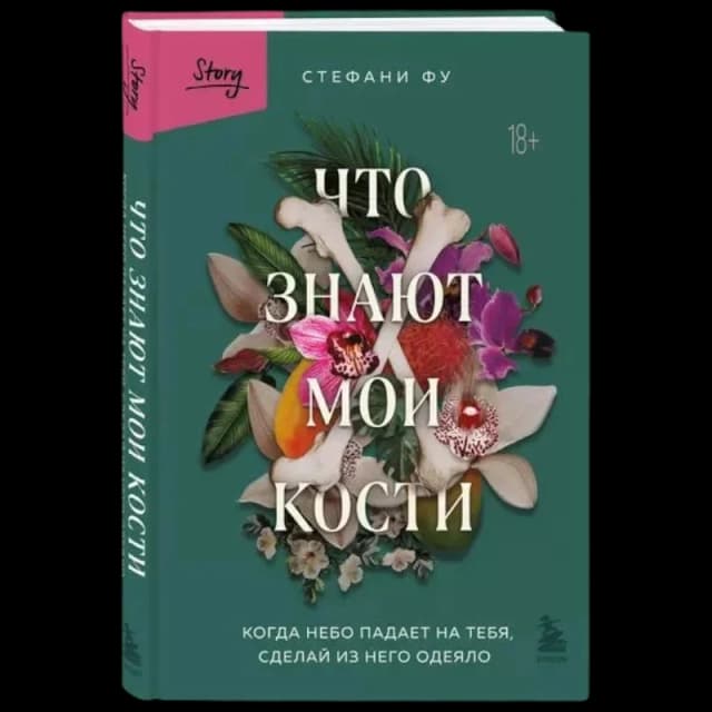 Что знают мои кости. Когда небо падает на тебя, сделай из него одеяло