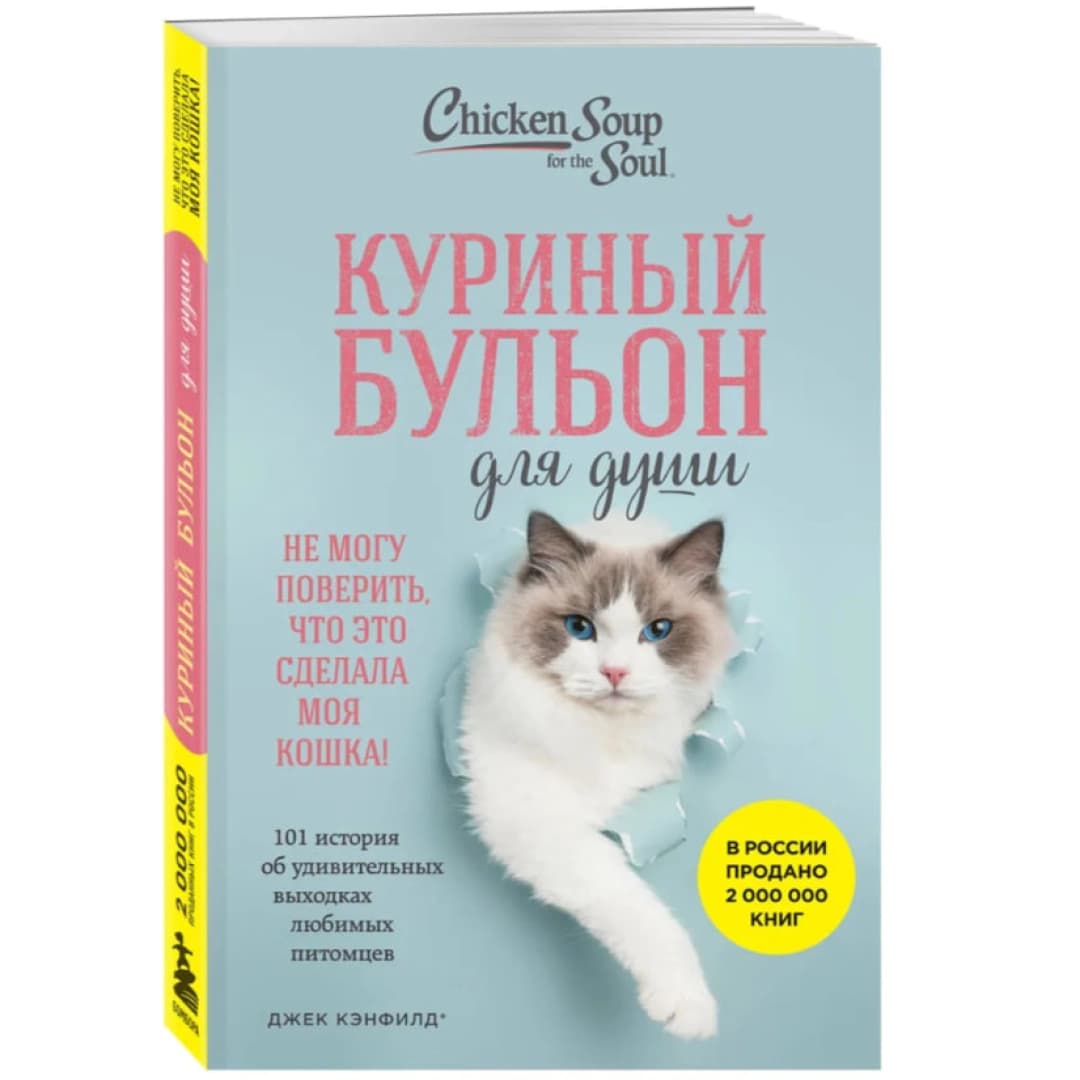 Куриный бульон для души. Не могу поверить, что это сделала моя кошка! 101 история об удивительных выходках любимых питомцев