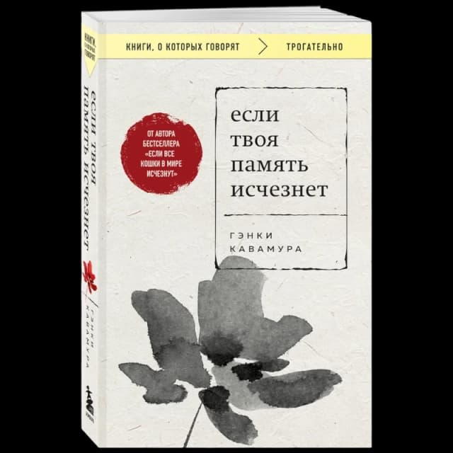 Если твоя память исчезнет