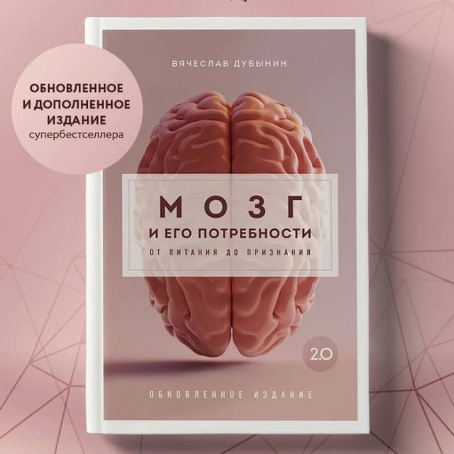 Мозг и его потребности от питания до признания