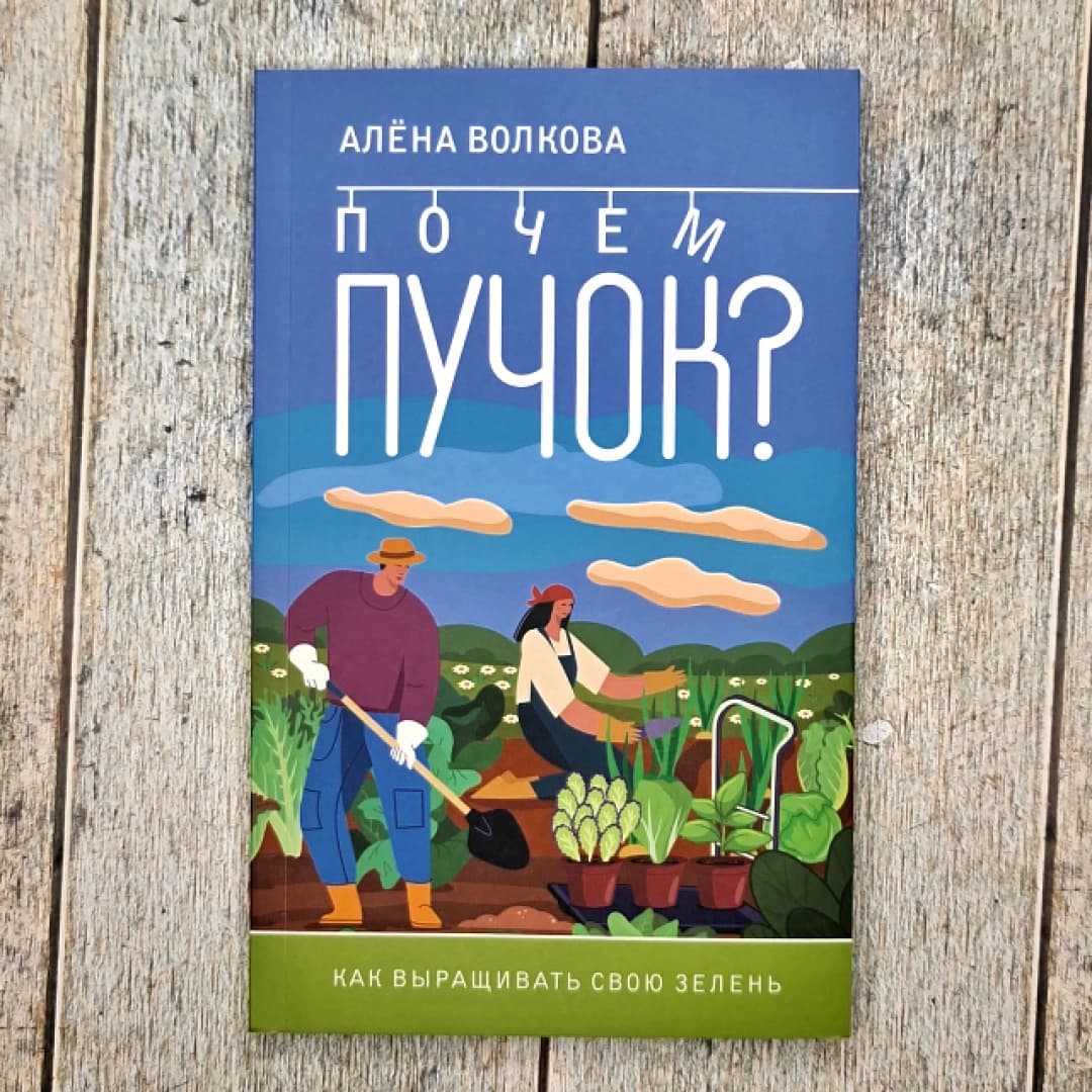 Почем Пучок?