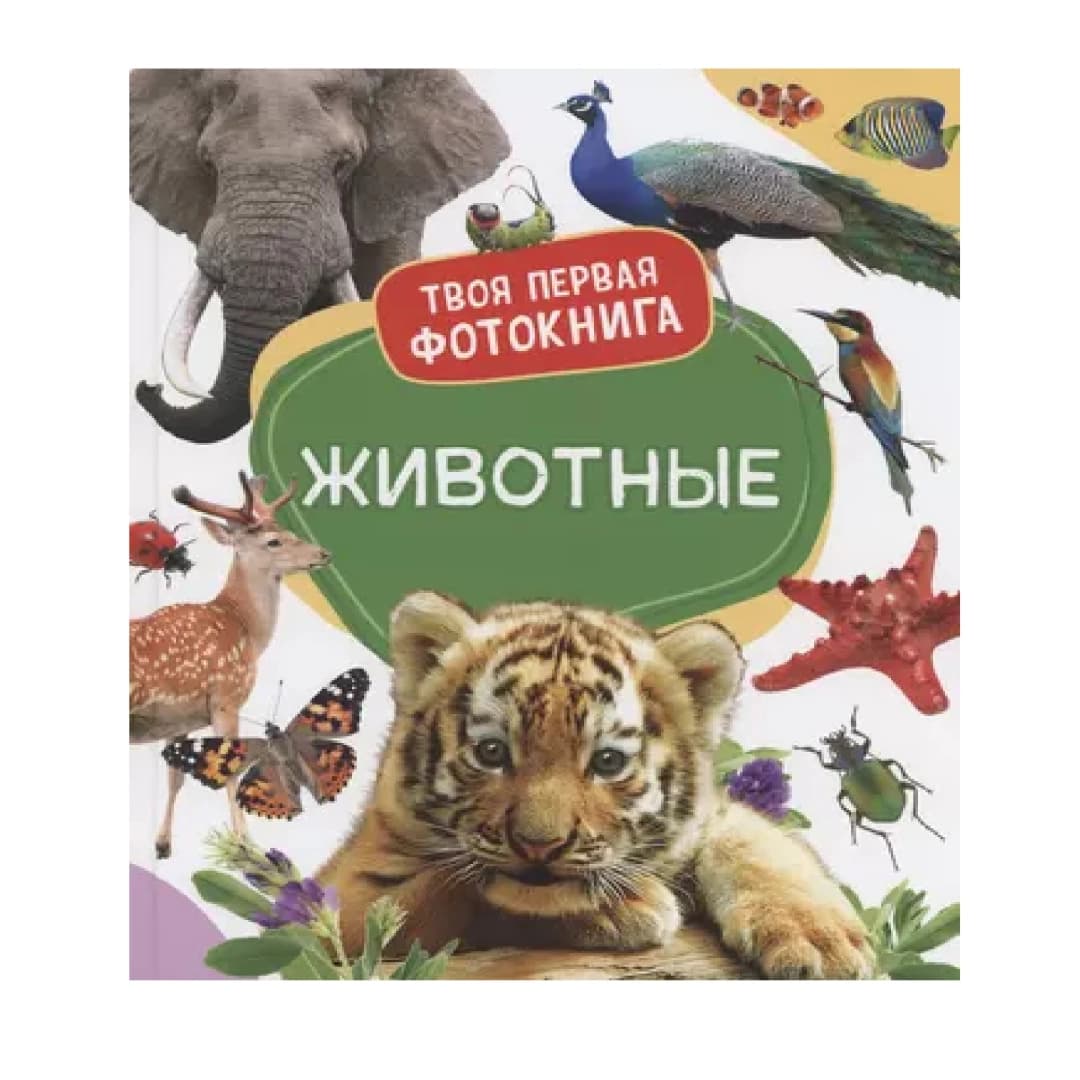 Животные