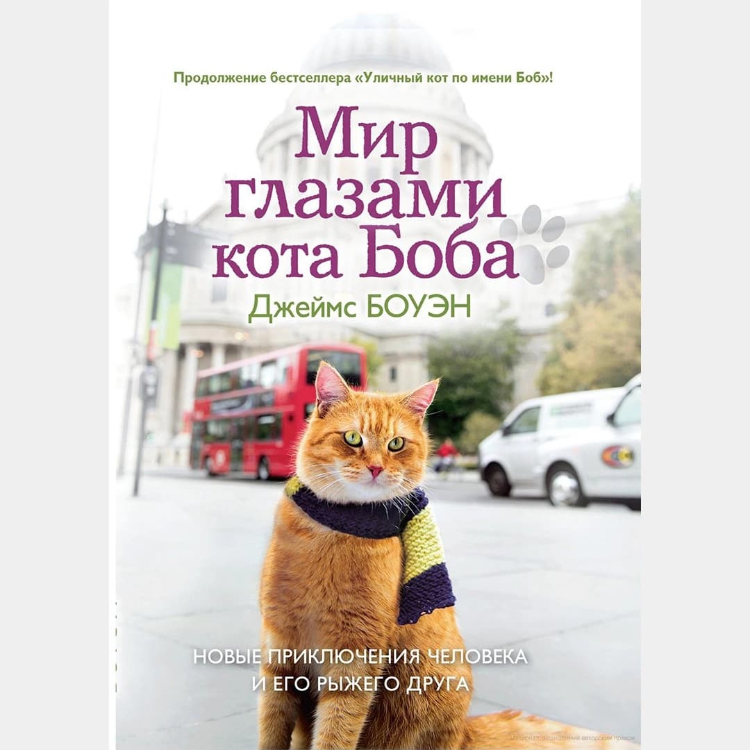 Мир глазами кота Боба