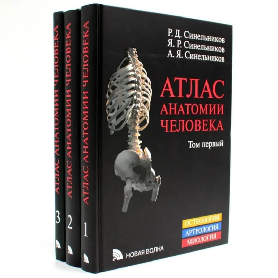 Атлас анатомии человека. В 3-х томах