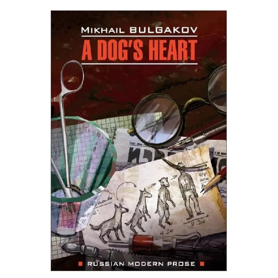 A dog's heart