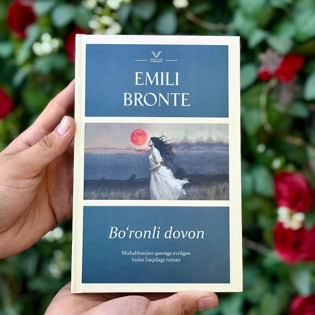 Bo'ronli dovon