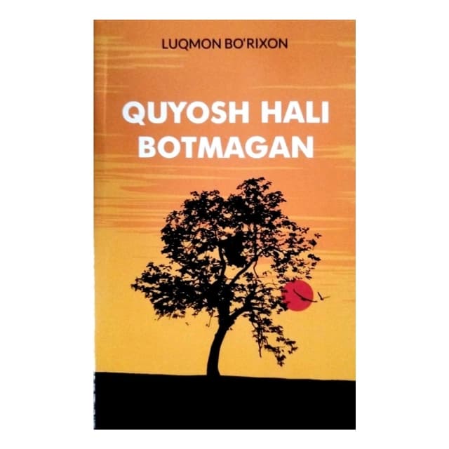 Quyosh hali botmagan
