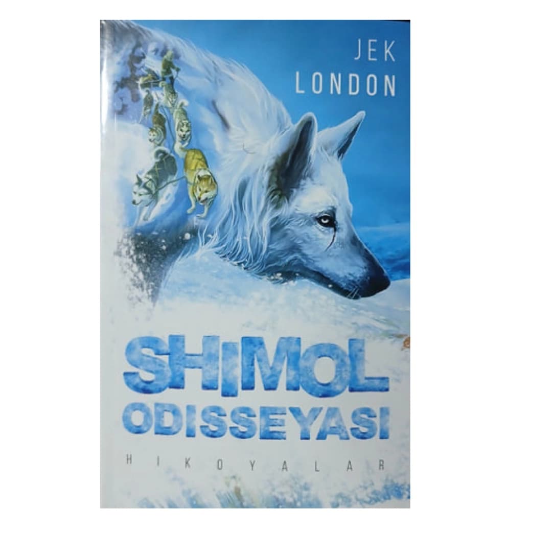 Shimol odisseyasi