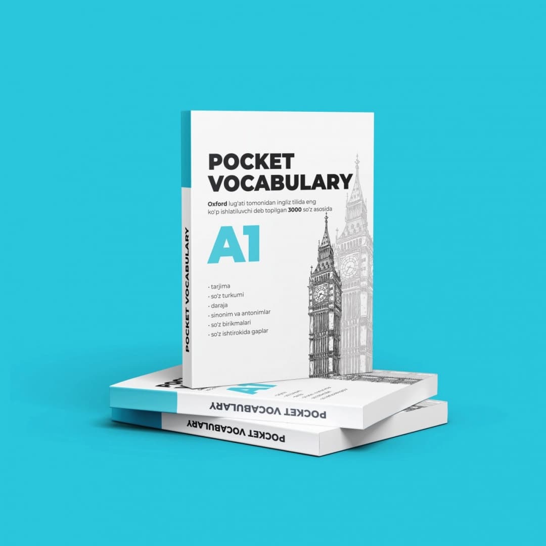 Pocket Vocabulary A1