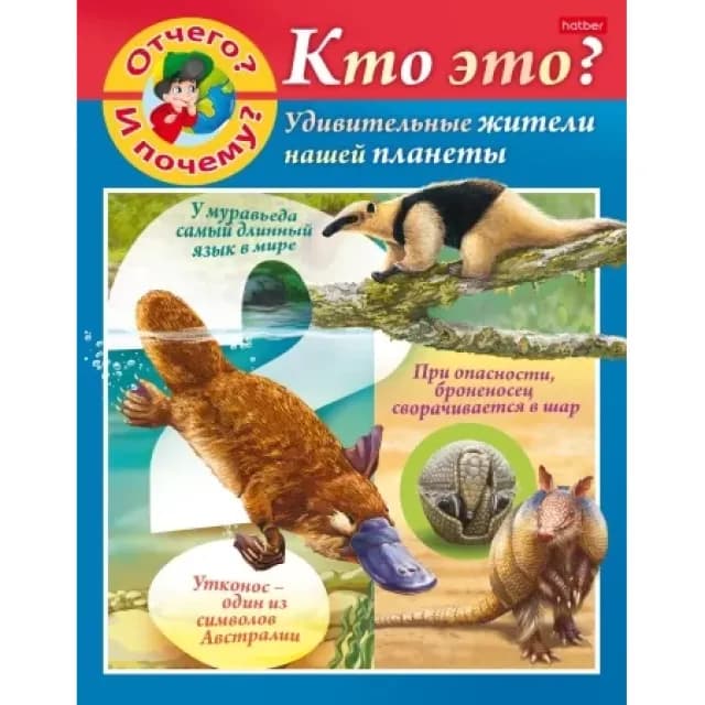 "Kichkina bilimdon" uchun 8 varaqli A5 formatidagi rangli blokli skrepkali kitobcha - "Nimaga va nega? Bu kim?"
