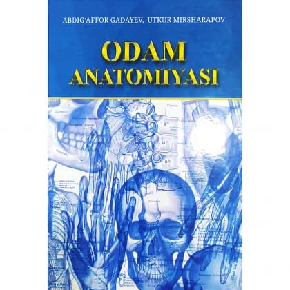 Odam anatomiyasi